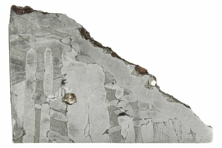 Etched Seymchan Pallasite Slice ( grams) - Russia #243073